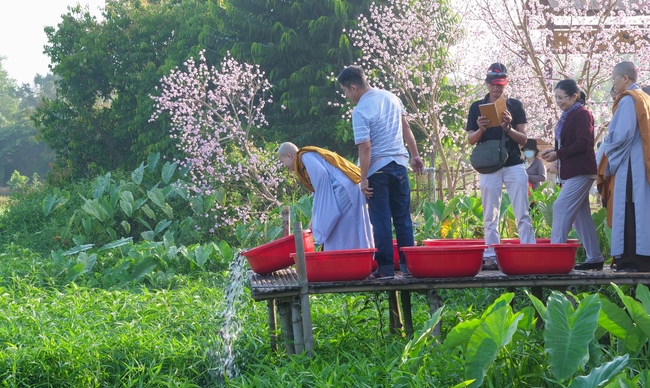 Chùm ảnh mồng năm Tết tại chùa Tây Pháp