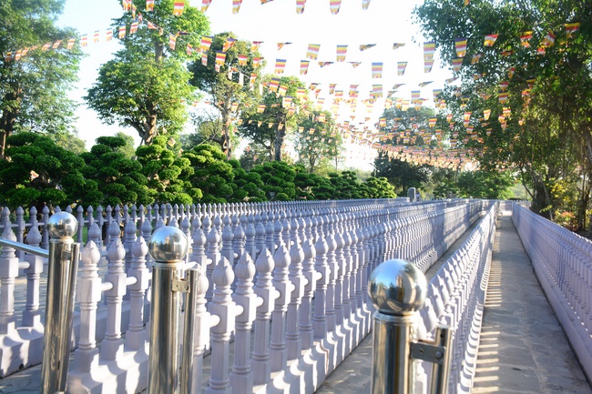 Sightseeing tour of prostrating the Buddha at beginning of the year.