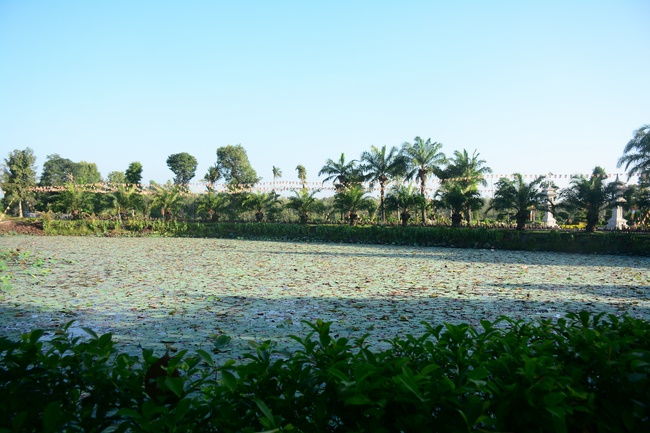 Sightseeing tour of prostrating the Buddha at beginning of the year.
