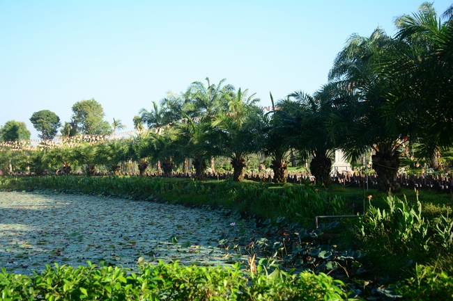 Sightseeing tour of prostrating the Buddha at beginning of the year.