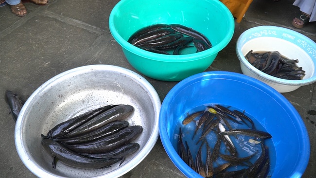 One-day Retreat at Dong Cao Pagoda.
