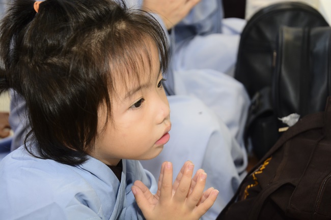 One  -  Day Practice