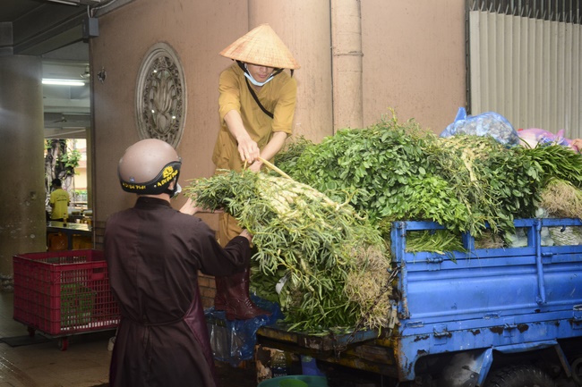 One  -  Day Practice