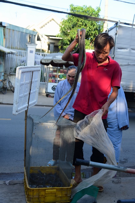 Releasing creatures and the repentant rite at Linh Phuoc retreat, Cu Chi