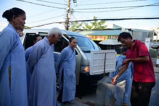 Releasing creatures and the repentant rite at Linh Phuoc retreat, Cu Chi