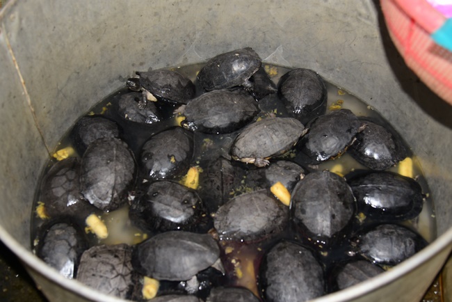 Giving gifts to patients of Cancer Hospital
