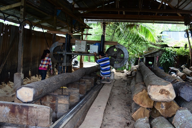 The rite praying for rebirth in Vinh Long