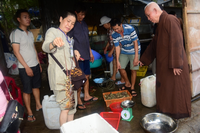 Cúng dường Tam bảo chùa Vĩnh Pháp và phóng sinh biển Nha Trang