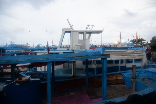 Cúng dường Tam bảo chùa Vĩnh Pháp và phóng sinh biển Nha Trang