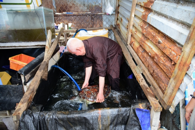 Cúng dường Tam bảo chùa Vĩnh Pháp và phóng sinh biển Nha Trang