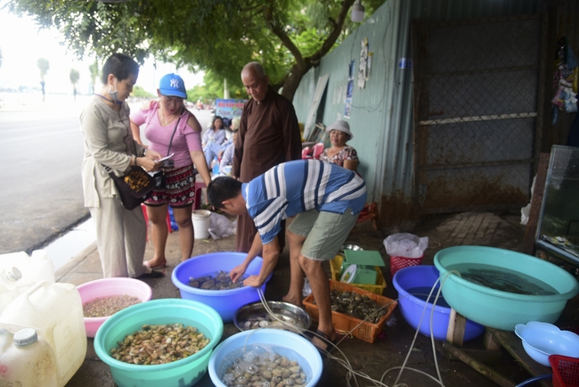 Cúng dường Tam bảo chùa Vĩnh Pháp và phóng sinh biển Nha Trang