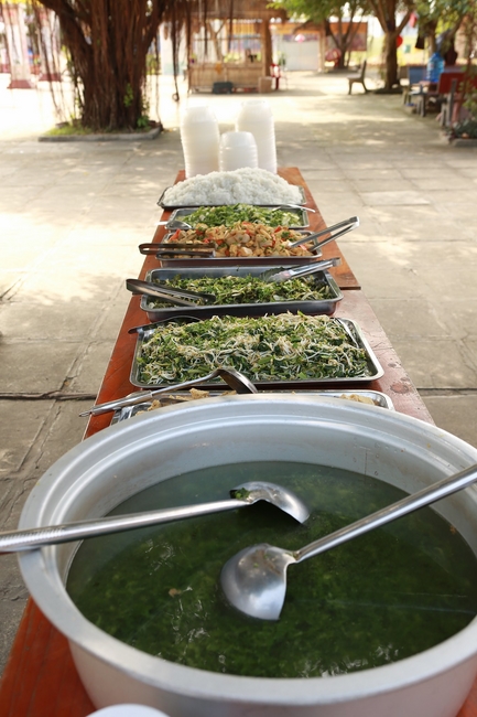 One-day Retreat at Dong Cao Pagoda.