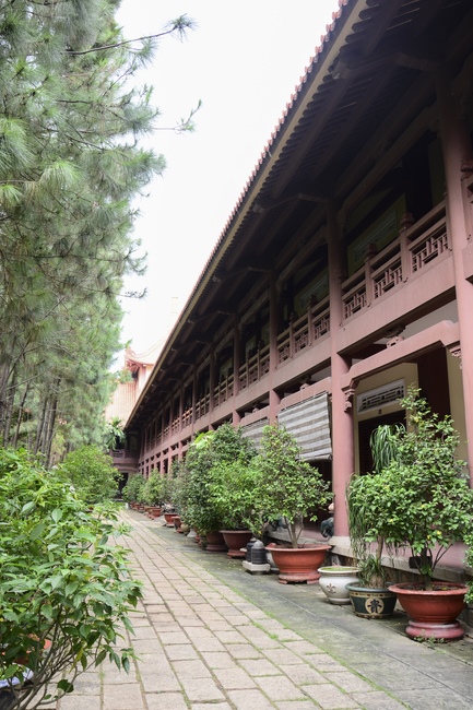 Quỹ Đào Tạo Tăng Tài Ngộ Chân Tử