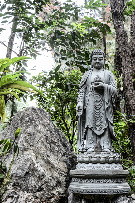 Quỹ Đào Tạo Tăng Tài Ngộ Chân Tử