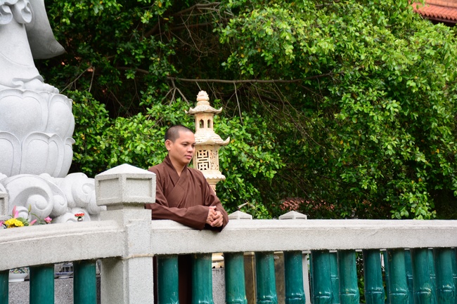 Quỹ Đào Tạo Tăng Tài Ngộ Chân Tử