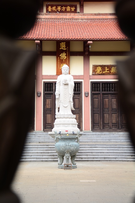 Quỹ Đào Tạo Tăng Tài Ngộ Chân Tử