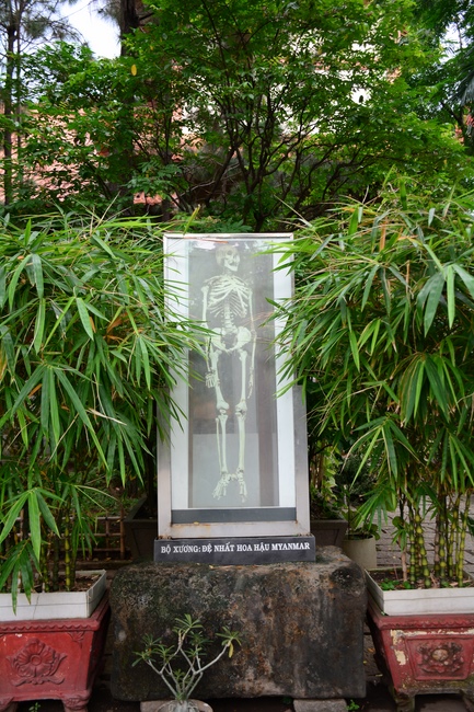 Quỹ Đào Tạo Tăng Tài Ngộ Chân Tử