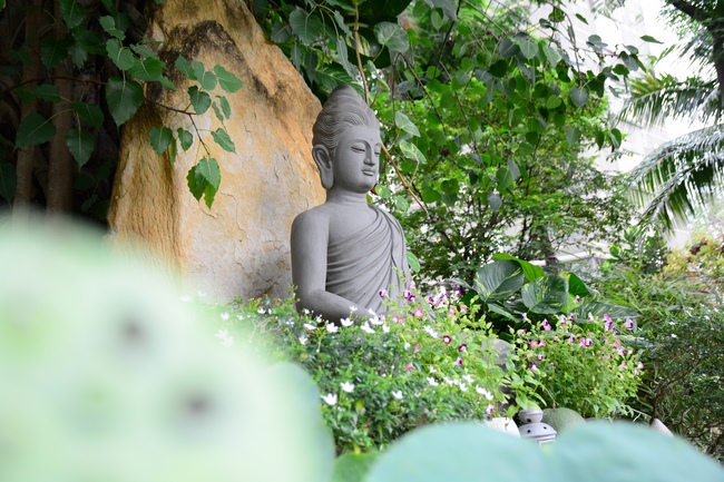 Quỹ Đào Tạo Tăng Tài Ngộ Chân Tử