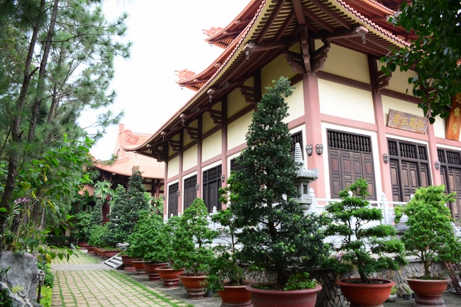 Quỹ Đào Tạo Tăng Tài Ngộ Chân Tử