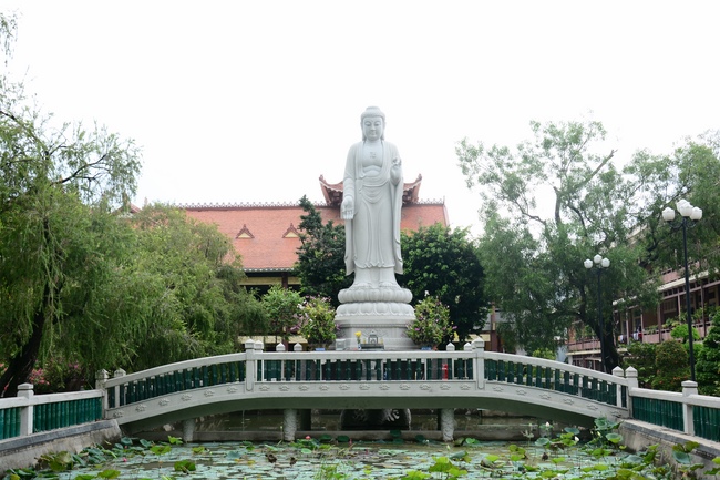 Quỹ Đào Tạo Tăng Tài Ngộ Chân Tử