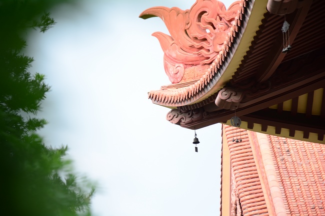 Quỹ Đào Tạo Tăng Tài Ngộ Chân Tử