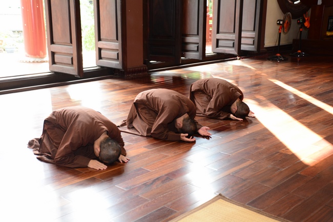 Quỹ Đào Tạo Tăng Tài Ngộ Chân Tử