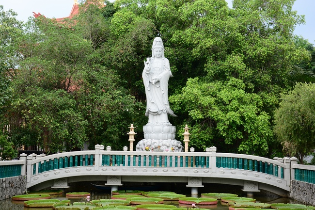 Quỹ Đào Tạo Tăng Tài Ngộ Chân Tử