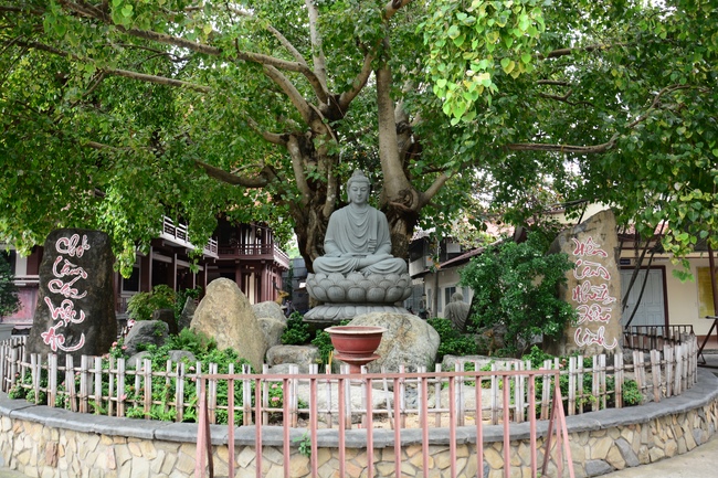 Quỹ Đào Tạo Tăng Tài Ngộ Chân Tử