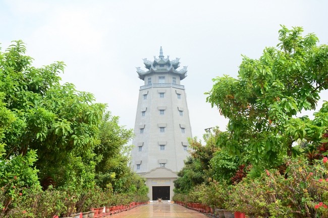 Quỹ Đào Tạo Tăng Tài Ngộ Chân Tử