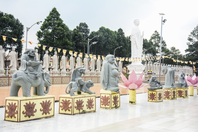 Quỹ Đào Tạo Tăng Tài Ngộ Chân Tử