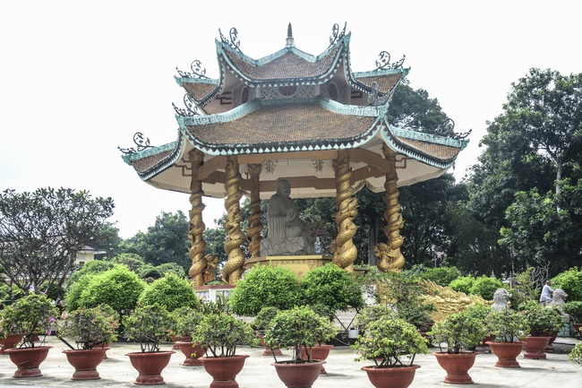 Quỹ Đào Tạo Tăng Tài Ngộ Chân Tử