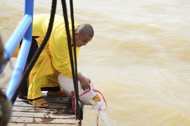 The rite offering for Monks in Can Tho City