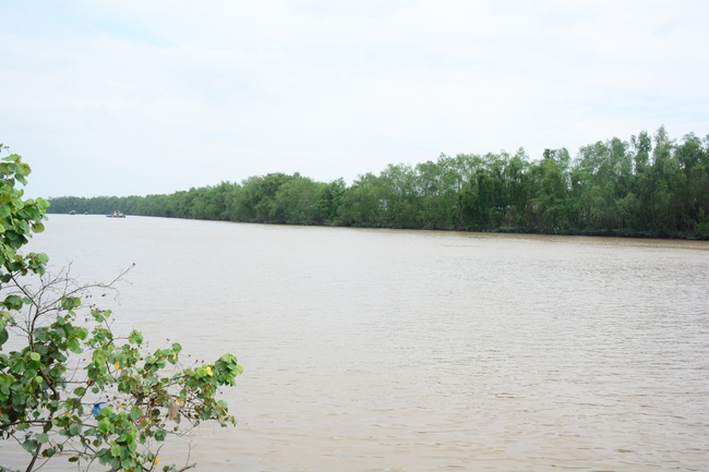The program donating Book in Tien Giang