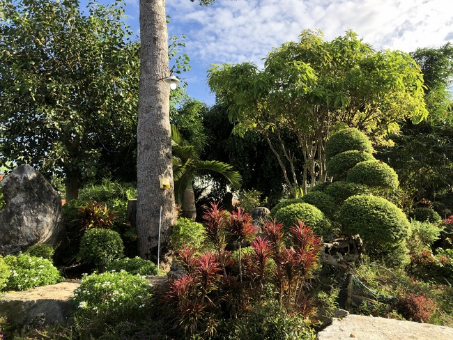 Repentant Ceremony at Suoi Phap Pagoda, Tay Ninh