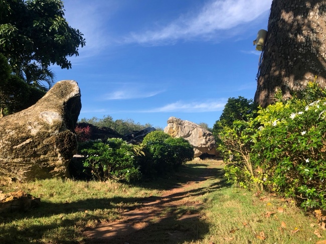 Repentant Ceremony at Suoi Phap Pagoda, Tay Ninh