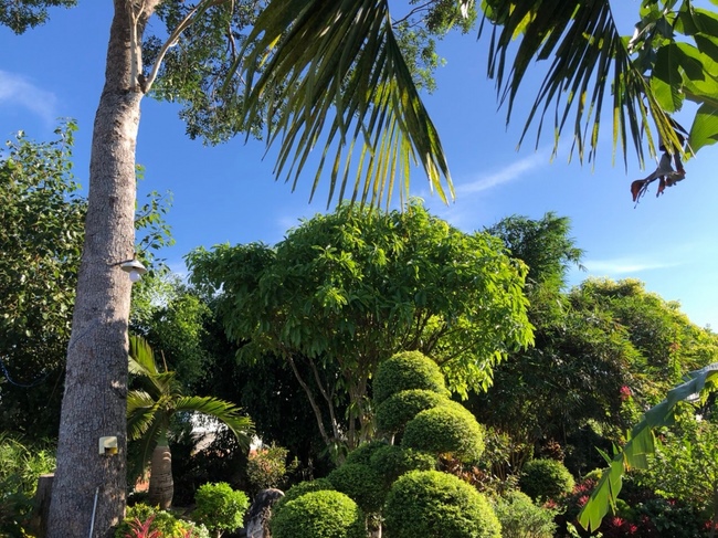 Repentant Ceremony at Suoi Phap Pagoda, Tay Ninh