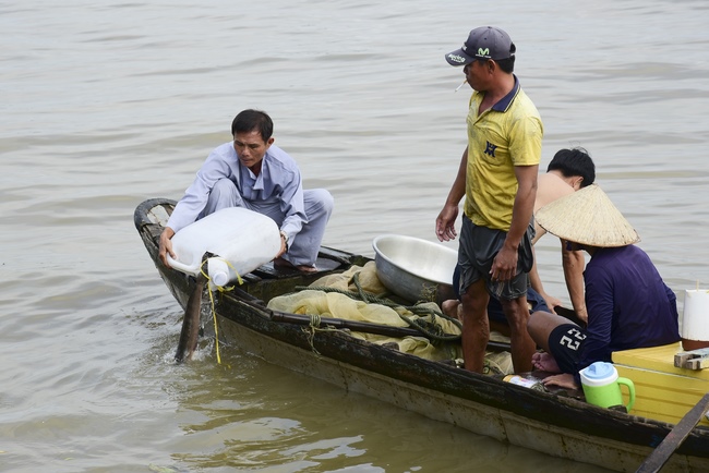 Repentant Ceremony at Minh Chat vihara  and offering Phuoc Long pagoda in Can Tho