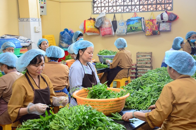 Dharma Talk “When still breathing and living, we still practice” – The 95th Seven-Day Retreat.