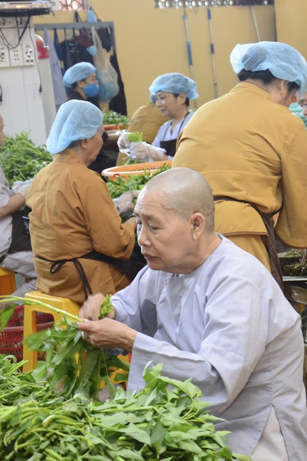 Dharma Talk “When still breathing and living, we still practice” – The 95th Seven-Day Retreat.