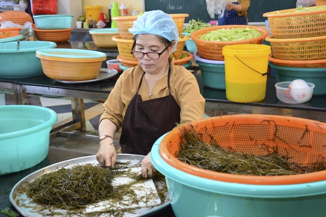 Dharma Talk “When still breathing and living, we still practice” – The 95th Seven-Day Retreat.