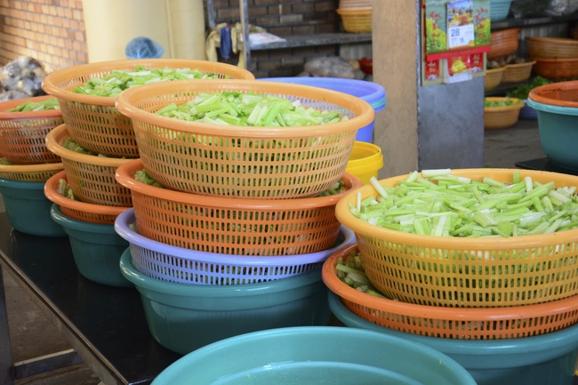 Dharma Talk “When still breathing and living, we still practice” – The 95th Seven-Day Retreat.