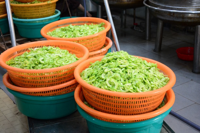 Dharma Talk “When still breathing and living, we still practice” – The 95th Seven-Day Retreat.