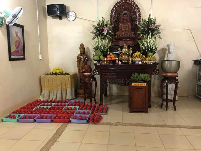 The birthday of Amitabha Buddha at Suoi Phap pagoda, Tay Ninh