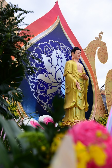 Impressed night of Amitabha Buddha's Birthday