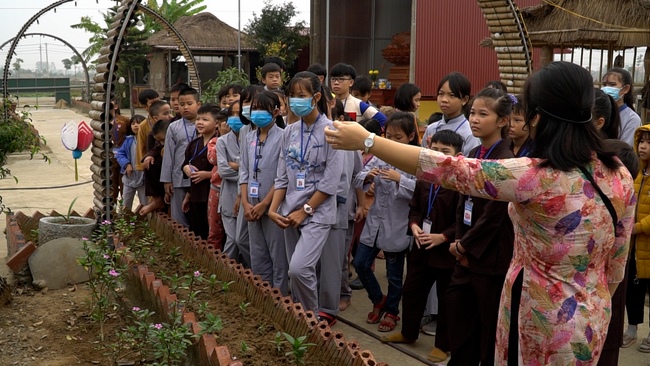 The retreat Sowing seeds lotus at Dong Cao Pagoda