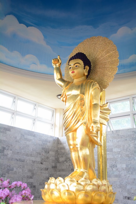 Visiting Truc Lam Chanh Giac Monastery, Tien Giang