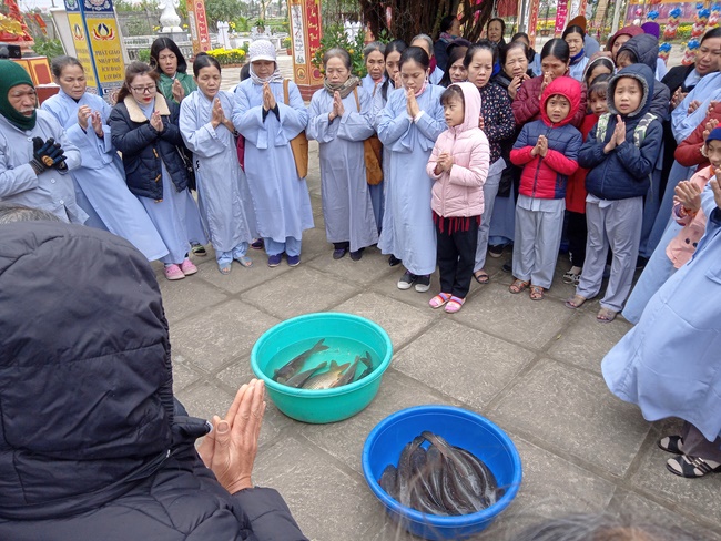 One-day Retreat at Dong Cao Pagoda.