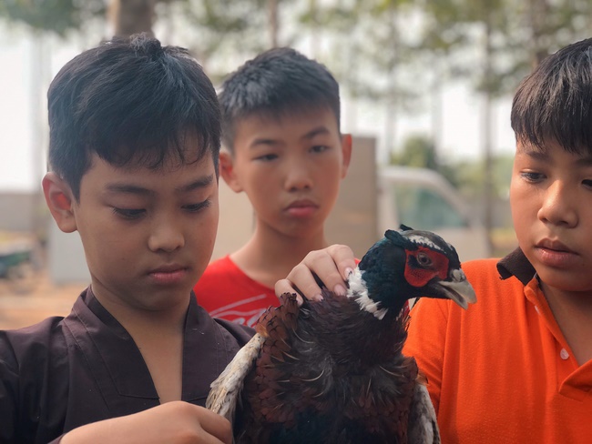 Kids' activities at Huong Phap Pagoda, Cu Chi