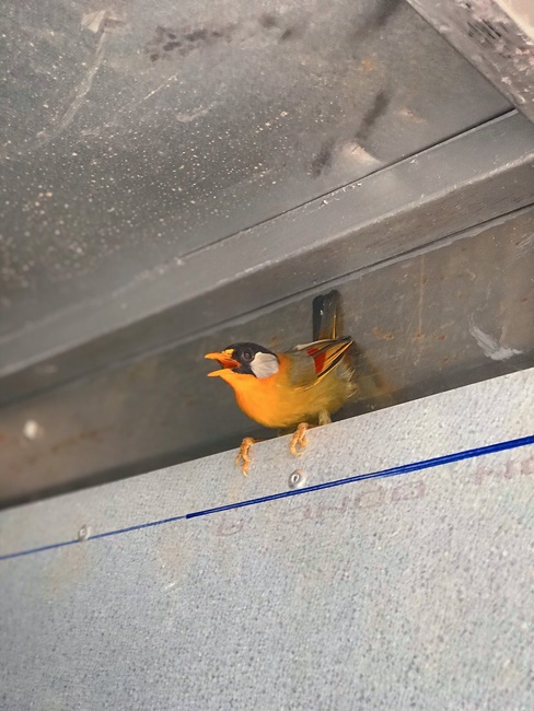 Kids' activities at Huong Phap Pagoda, Cu Chi