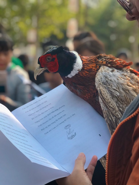 Kids' activities at Huong Phap Pagoda, Cu Chi